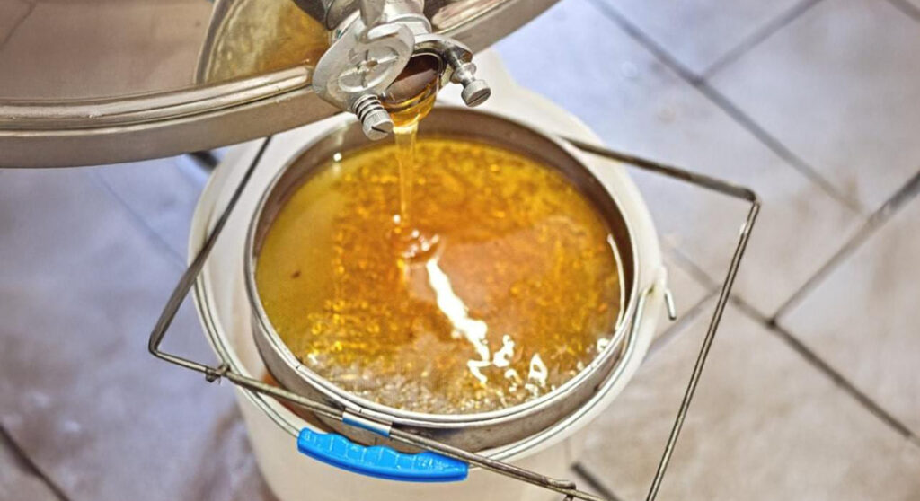 Honig läuft aus der Schleudermaschine in einen Filter.